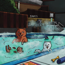Charger l'image dans la galerie, Ainsworth Pomeranians