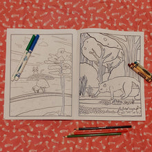 Charger l'image dans la galerie, Natural Cats Colouring Book - Cats in Canadian Landscapes